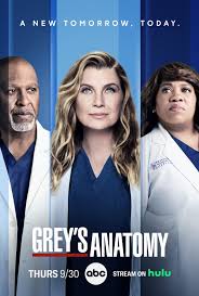 Grey's Anatomy A Anatomia de Grey